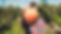 Agriculteur tenant des fruits