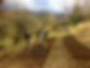 23509043_10213249031993093_7615847498020