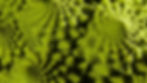 Permascope