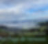 PDC-Vernoux-scaled_edited.jpg